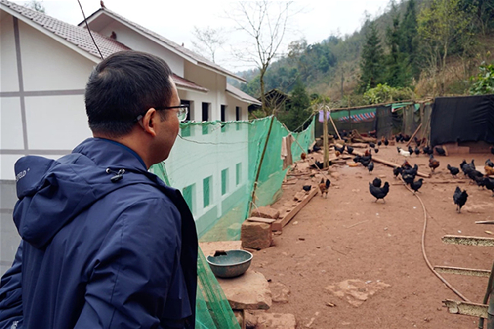 6731������Ϸ(�й���)-�ٷ���վ