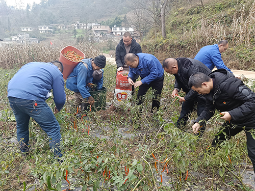 6731������Ϸ(�й���)-�ٷ���վ