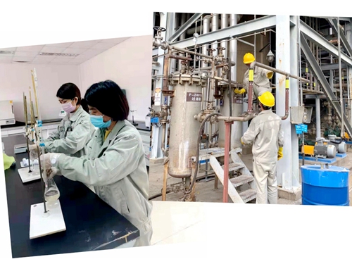 6731������Ϸ(�й���)-�ٷ���վ