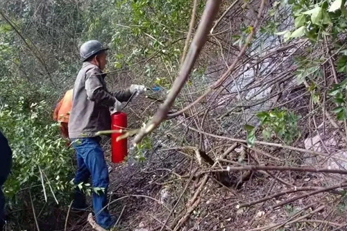 6731������Ϸ(�й���)-�ٷ���վ