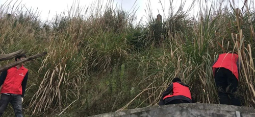 6731������Ϸ(�й���)-�ٷ���վ