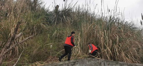 6731������Ϸ(�й���)-�ٷ���վ