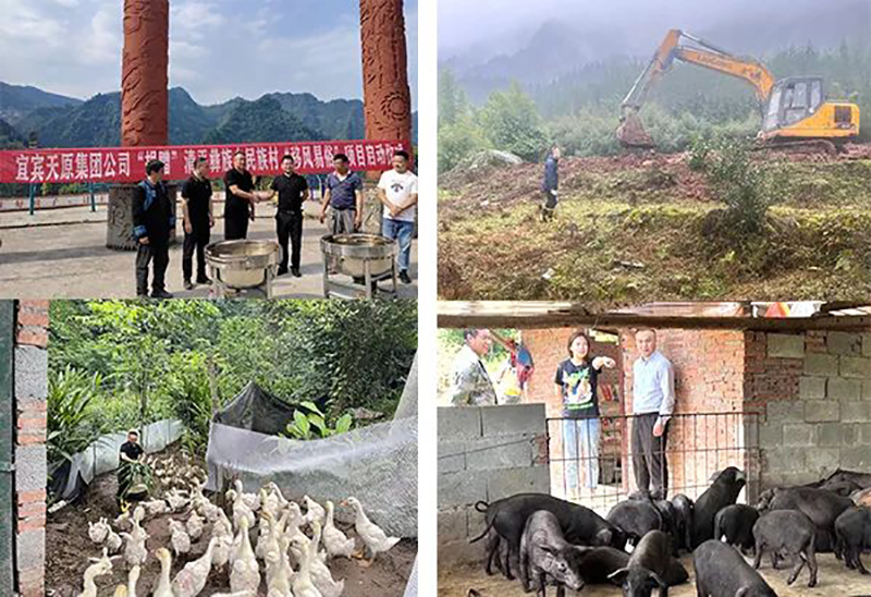 6731������Ϸ(�й���)-�ٷ���վ